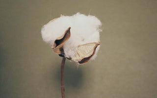 Chinos: For The Urban Soldier URturms